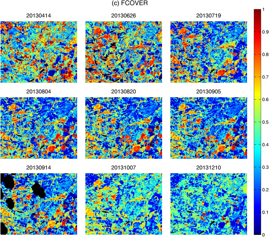 maps of Landsat-8 FCover over SouthWest site